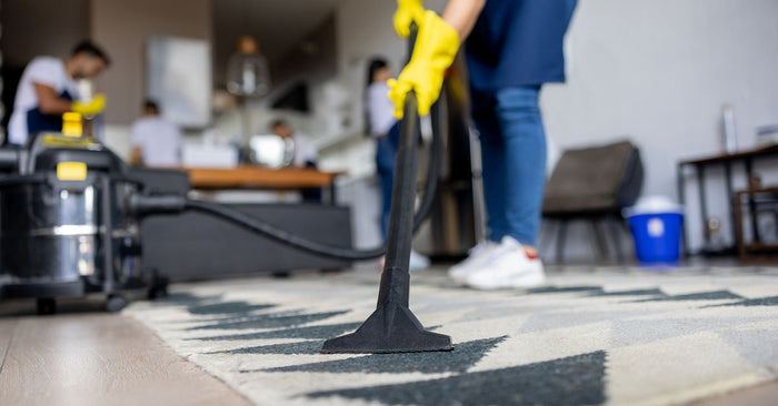 Why You Should Consider Getting Your Carpet Cleaning Technician License