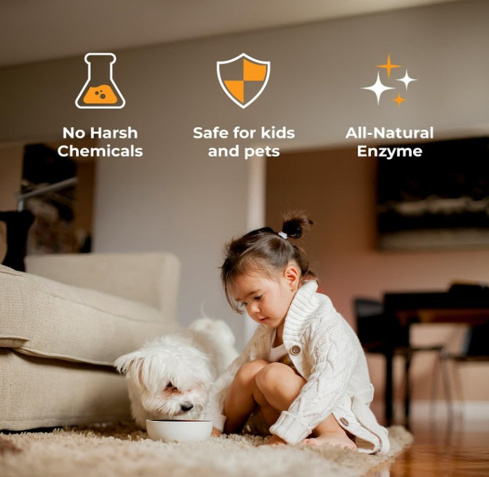 Products Pet Stain and Odor Remover - Enzyme Cleaner for Home & Professional Use, Stain Dissolver for Carpet, Upholstery, & More - Dog & Cat Urine, Feces, Vomit Eliminator, 32 Ounce Spray