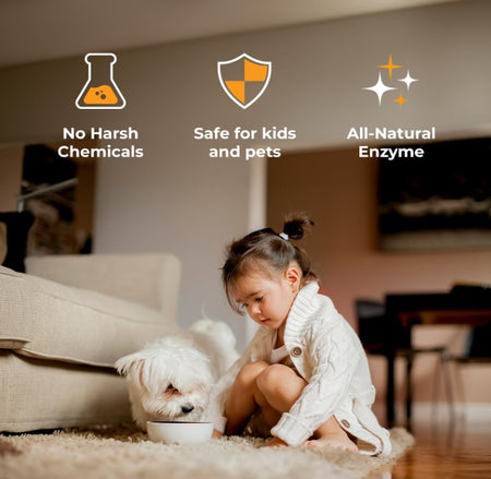 Products Pet Stain and Odor Remover - Enzyme Cleaner for Home & Professional Use, Stain Dissolver for Carpet, Upholstery, & More - Dog & Cat Urine, Feces, Vomit Eliminator, 32 Ounce Spray