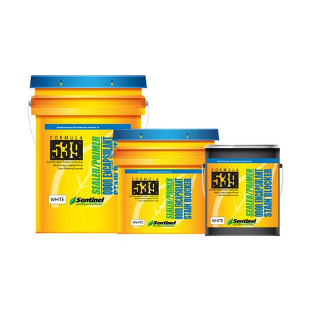 Sentinel 539 Smoke & Odor Encapsulant,  White - (5G)