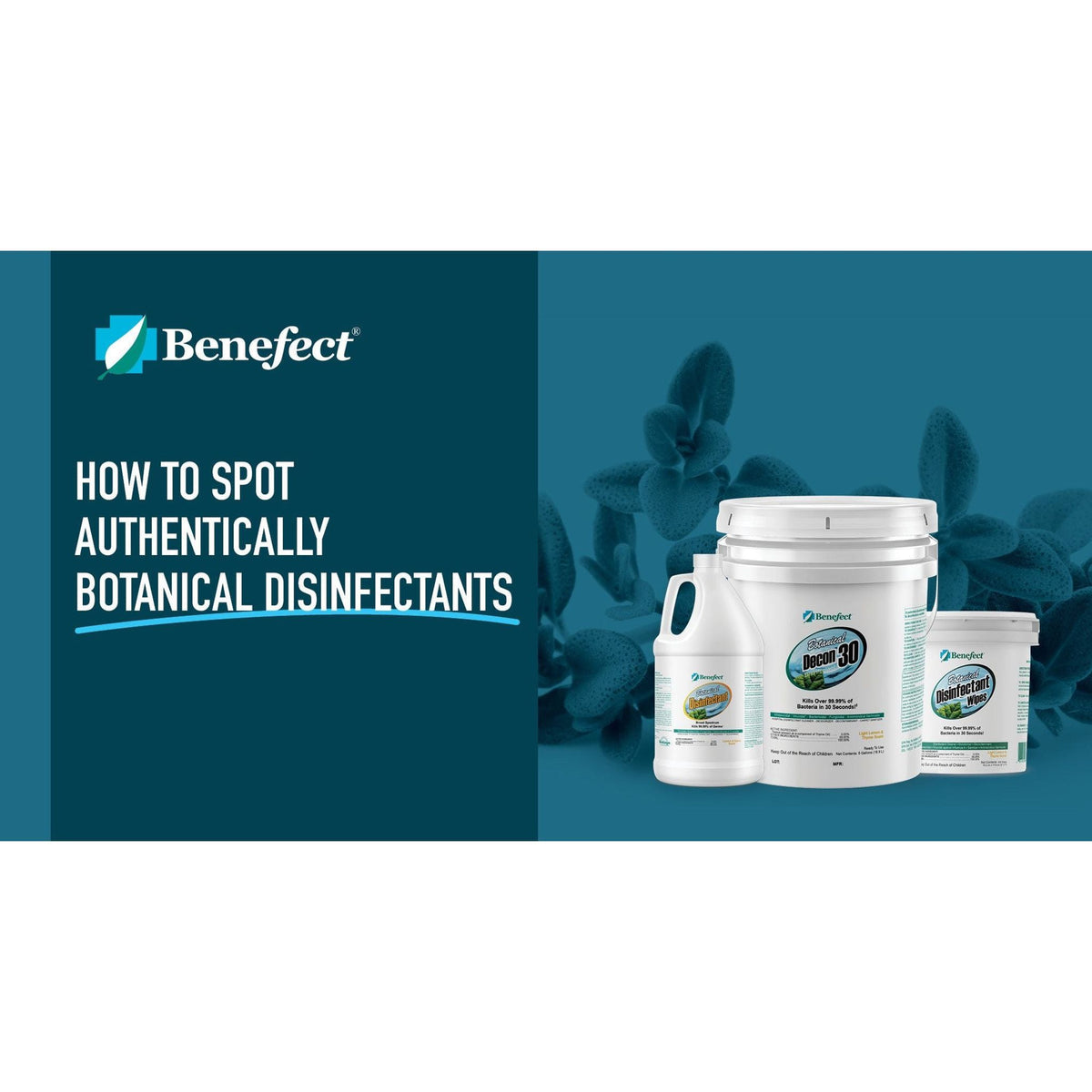Benefect Botanical Disinfectant Misc 1 gal,2 gal