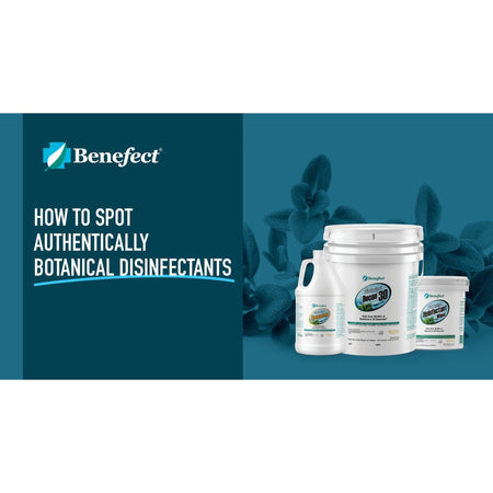 Benefect Botanical Disinfectant Misc 1 gal,2 gal