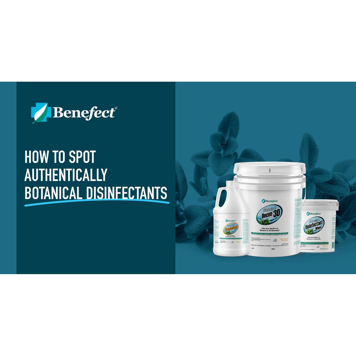 Benefect Botanical Decon 30 Disinfectant Cleaner Misc 1 gal,4 gal,5 gal