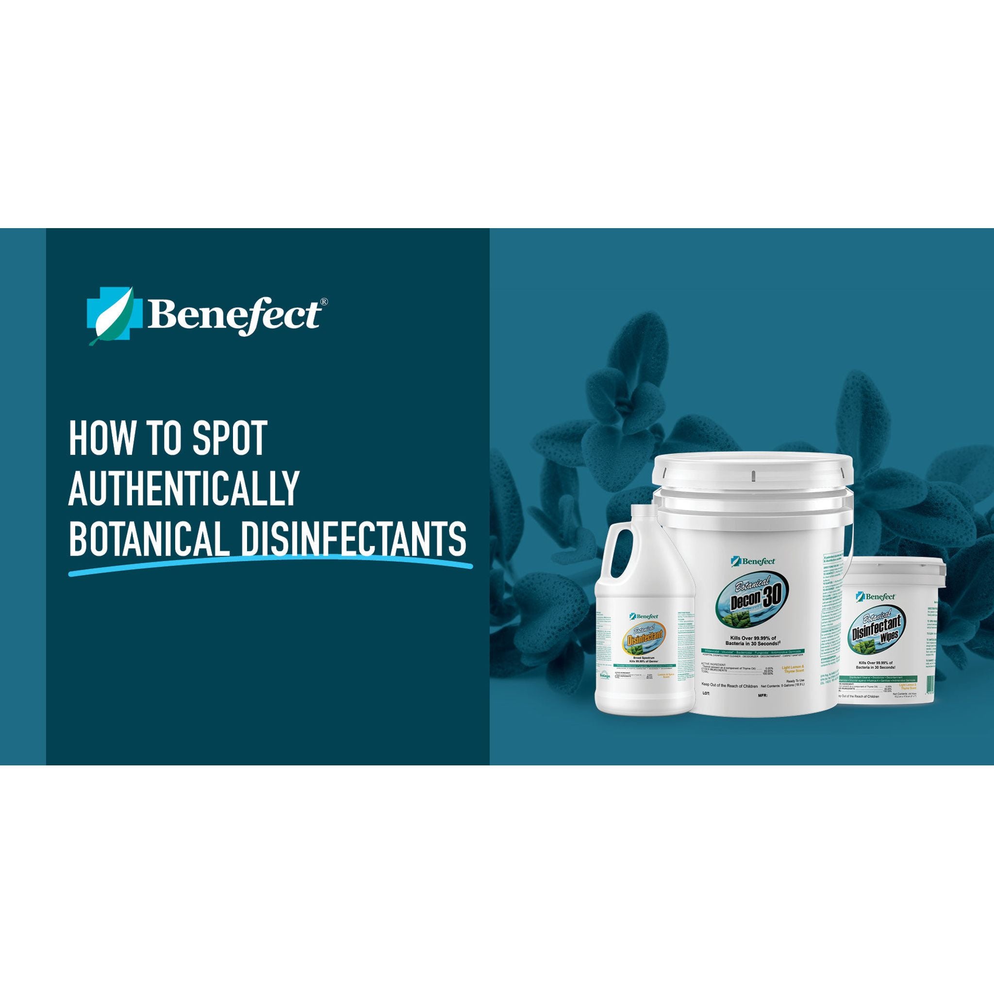 Benefect Botanical Decon 30 Disinfectant Cleaner Misc 1 gal,4 gal,5 gal