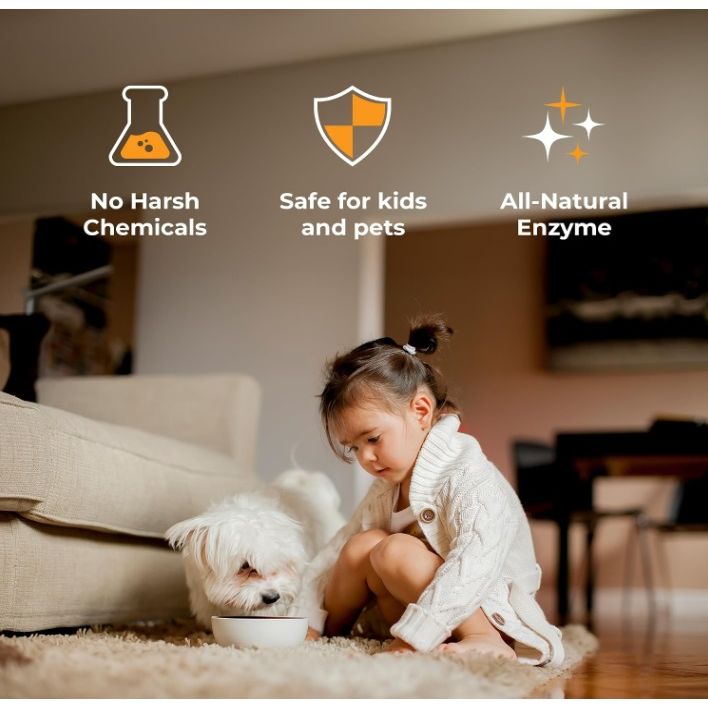 Products Pet Stain and Odor Remover - Enzyme Cleaner for Home & Professional Use, Stain Dissolver for Carpet, Upholstery, & More - Dog & Cat Urine, Feces, Vomit Eliminator, 32 Ounce Spray