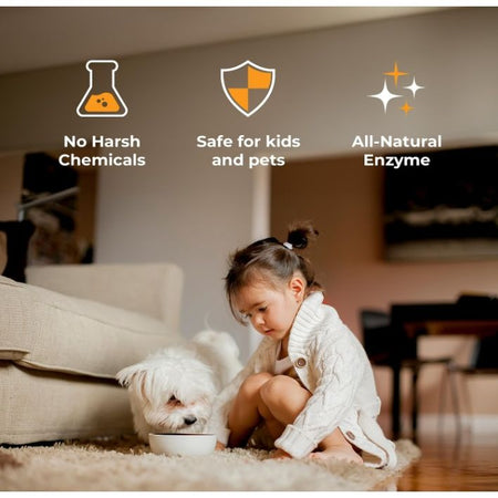 Products Pet Stain and Odor Remover - Enzyme Cleaner for Home & Professional Use, Stain Dissolver for Carpet, Upholstery, & More - Dog & Cat Urine, Feces, Vomit Eliminator, 32 Ounce Spray