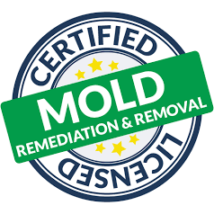 Mold Remediation Specialist (MRS) Classes Payless Janitorial,Online